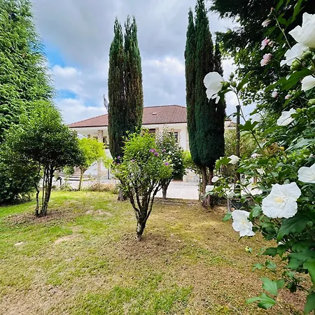 Raiz Y Cumbre Διαμέρισμα Mestas De Con