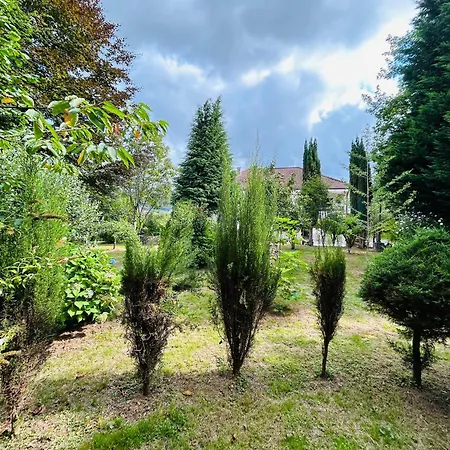 Raiz Y Cumbre Mestas De Con