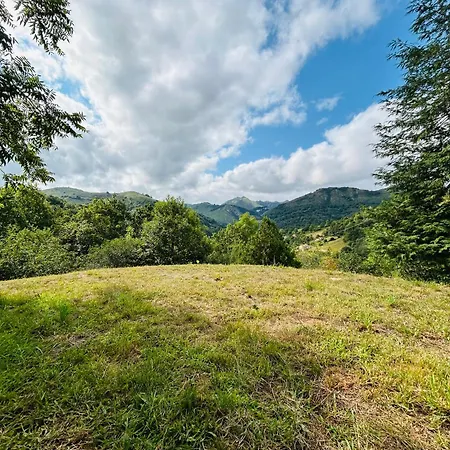 Raiz Y Cumbre * Mestas De Con