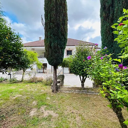 Raiz Y Cumbre * Mestas De Con