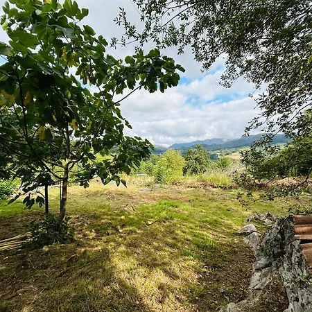 Διαμέρισμα Raiz Y Cumbre