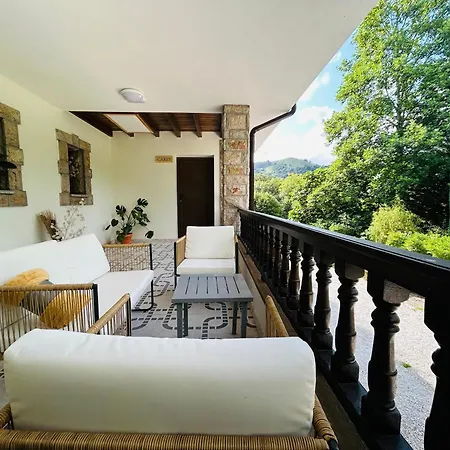 Raiz Y Cumbre * Mestas De Con