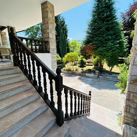 Raiz Y Cumbre * Mestas De Con