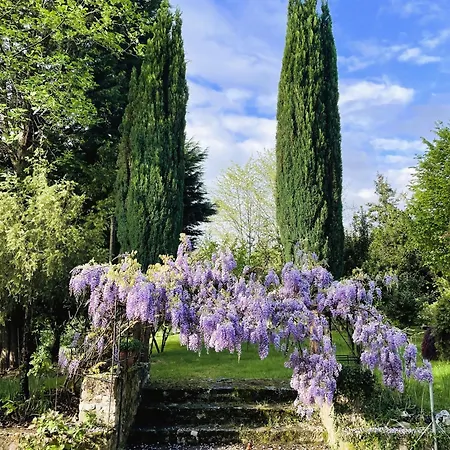 Διαμέρισμα Casa Raiz Y Cumbre *